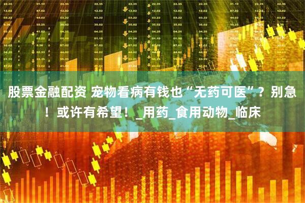 股票金融配资 宠物看病有钱也“无药可医”？别急！或许有希望！_用药_食用动物_临床