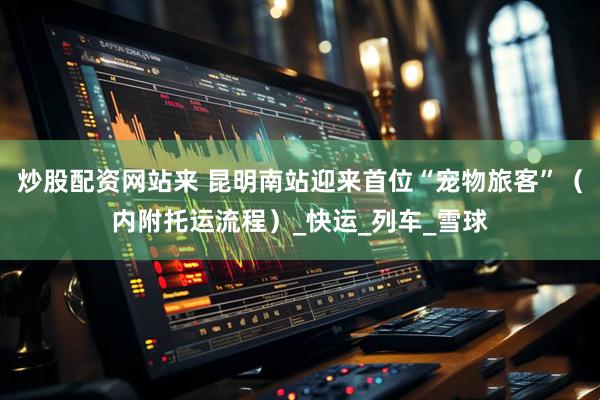 炒股配资网站来 昆明南站迎来首位“宠物旅客”（内附托运流程）_快运_列车_雪球