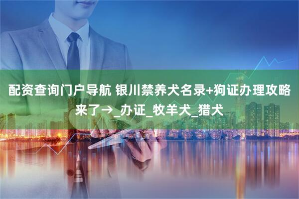 配资查询门户导航 银川禁养犬名录+狗证办理攻略来了→_办证_牧羊犬_猎犬