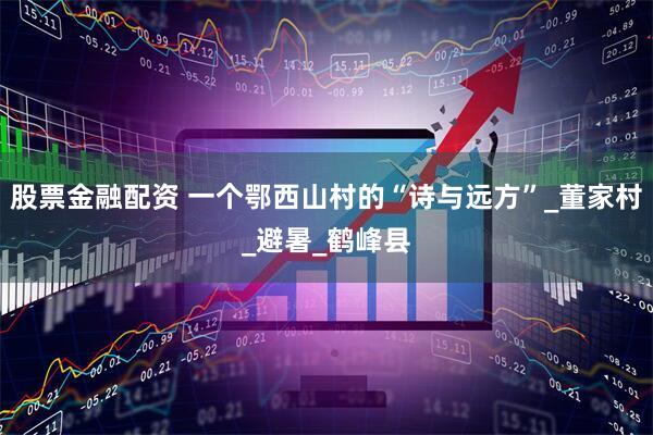 股票金融配资 一个鄂西山村的“诗与远方”_董家村_避暑_鹤峰县
